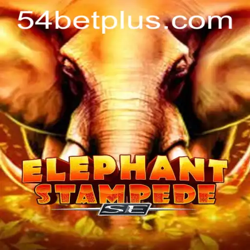 54bet Jogos de sabong